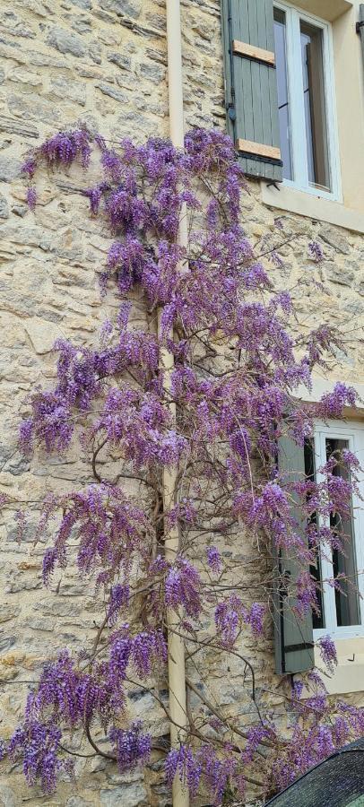 Bed and Breakfast La Bastide Des Arts Saumane-de-Vaucluse Екстер'єр фото