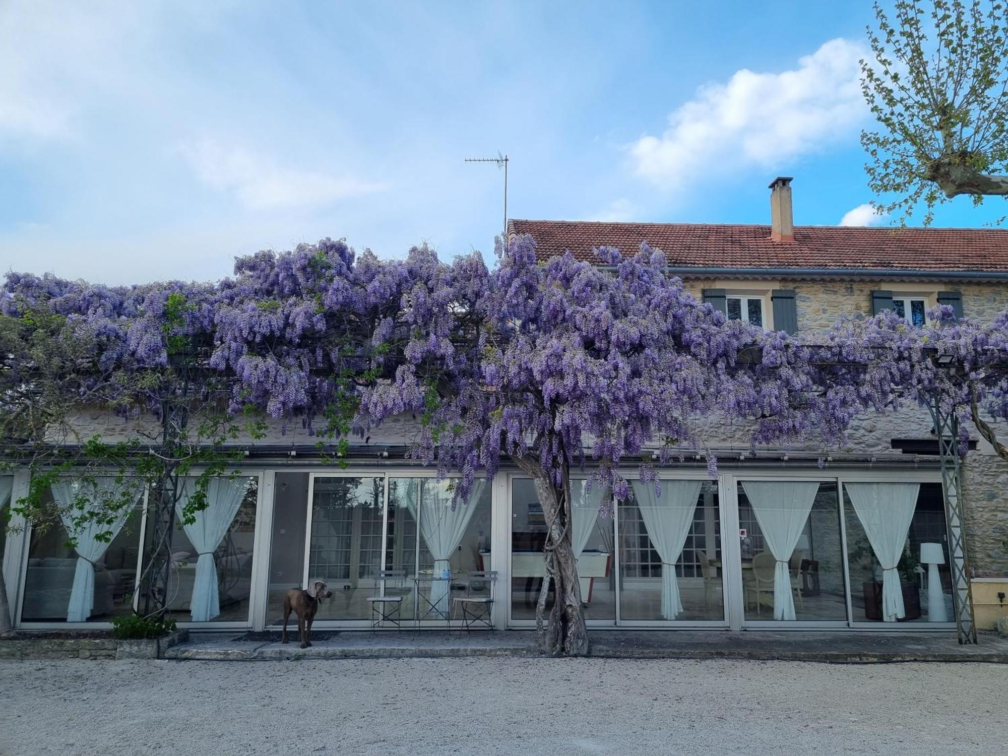 Bed and Breakfast La Bastide Des Arts Saumane-de-Vaucluse Екстер'єр фото